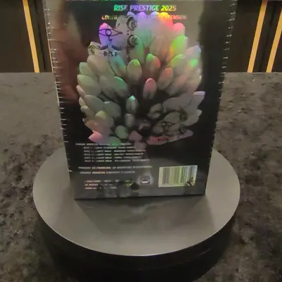 Display Prestige 2025